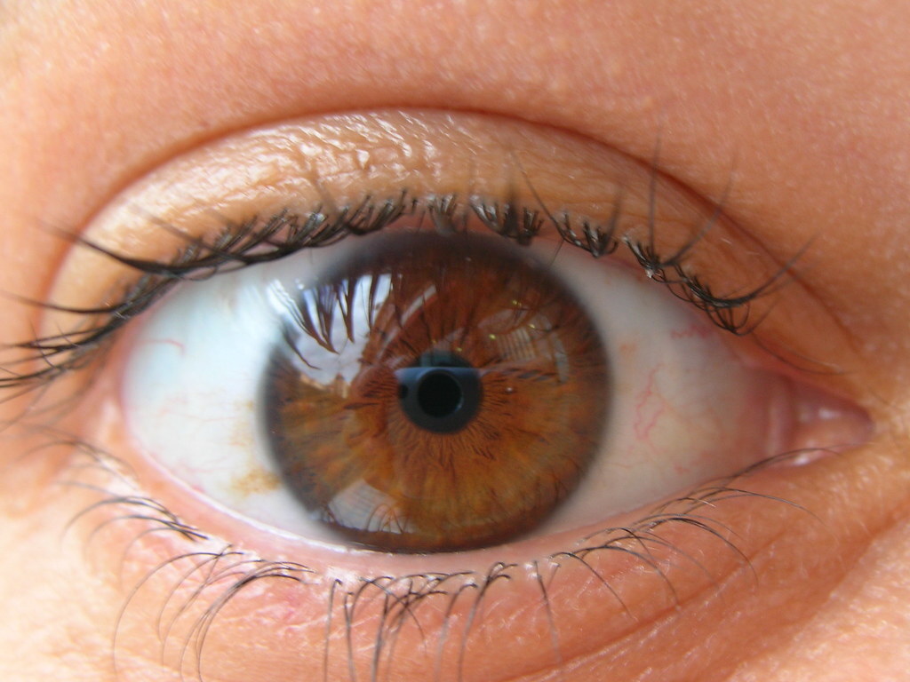 Врач проводит диагностику зрения